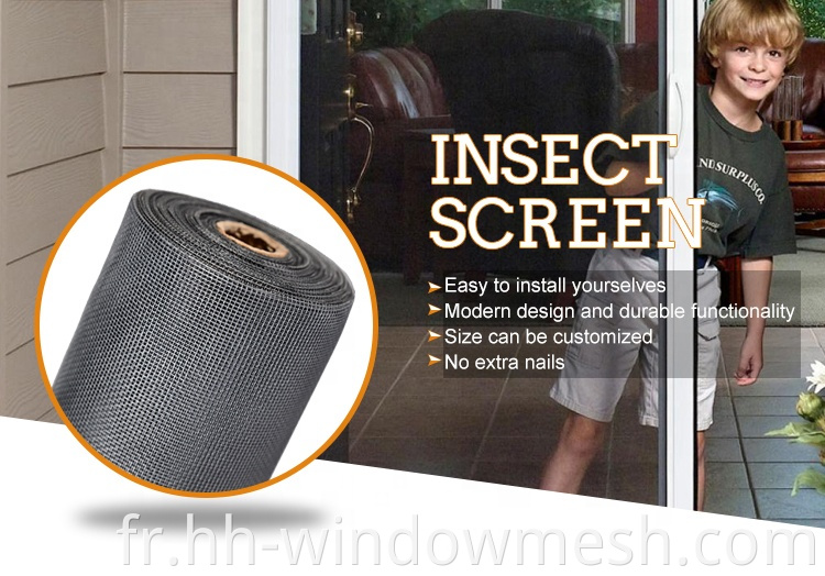 Écran de fenêtre en fibre de verre anti-insectes moustiques épreuve d'écran d'épreuve de poussière